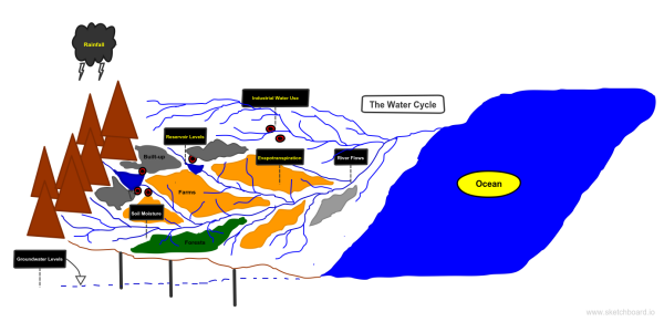 Water Cycle Infographic